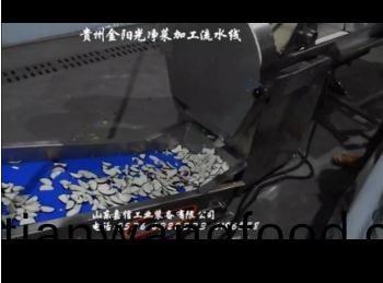 貴(gui)州(zhou)金(jin)陽(yáng)光(guang)淨(jìng)菜加(jia)工(gong)流(liu)水線(xian)